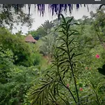 Bosques Del Tayrona Ecohabs