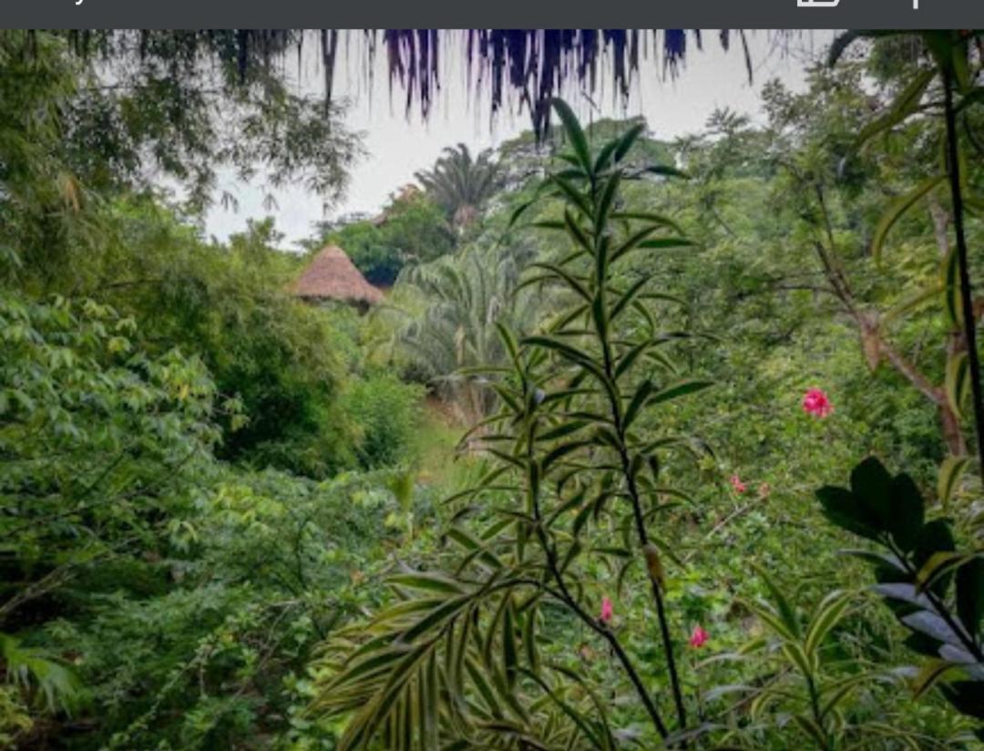 Bosques Del Tayrona Ecohabs 4*