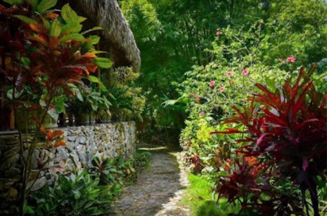 Bosques Del Tayrona Ecohabs Santa Marta (Magdalena)