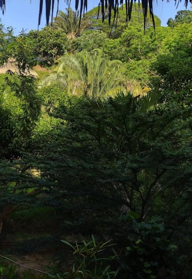 Bosques Del Tayrona Ecohabs Santa Marta (Magdalena)
