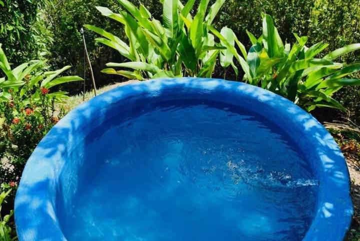 Bosques Del Tayrona Ecohabs 4*